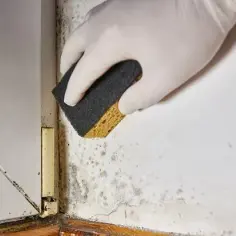 Skuteczne domowe sposoby na usunięcie pleśni ze ściany bez chemii